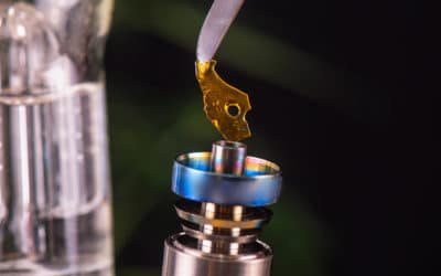 Dab Nail Or Banger?