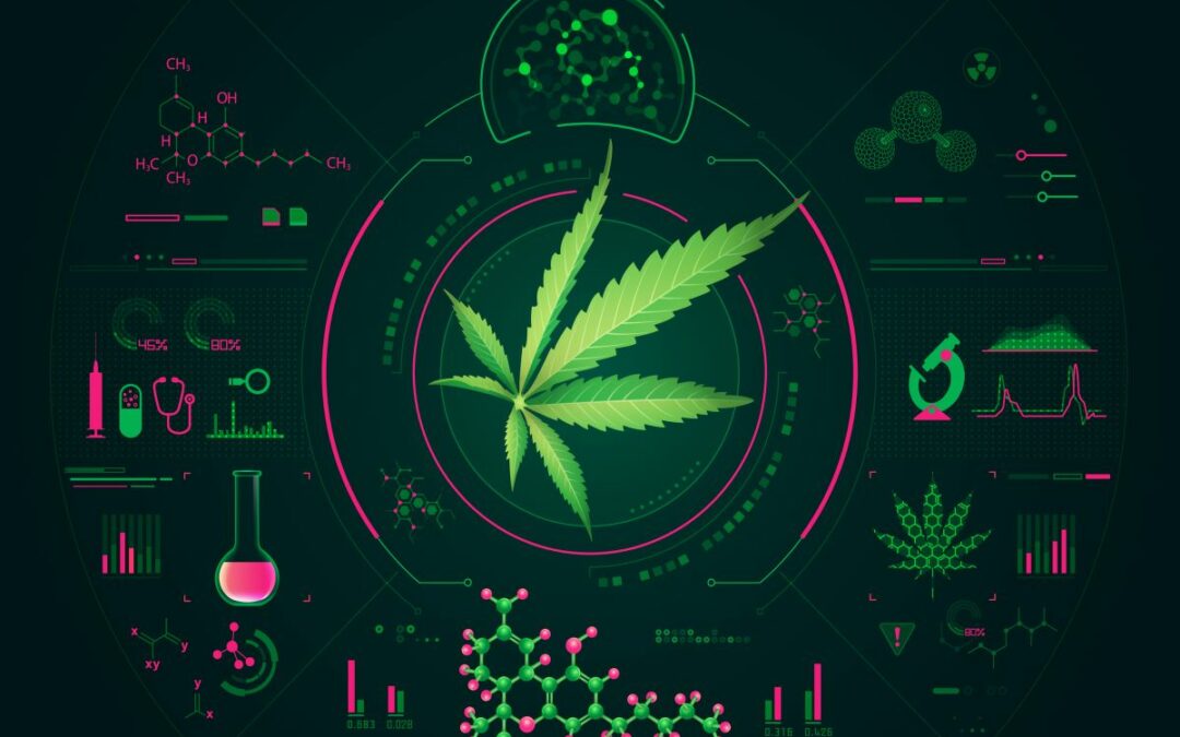 Sorting Out The Cs — CBD vs. CBN vs. CBG